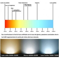 5metri Strip LED SMD2835 da 2700K°a 6500K°led 24Volt (2700K+6500K°, 960 Led)